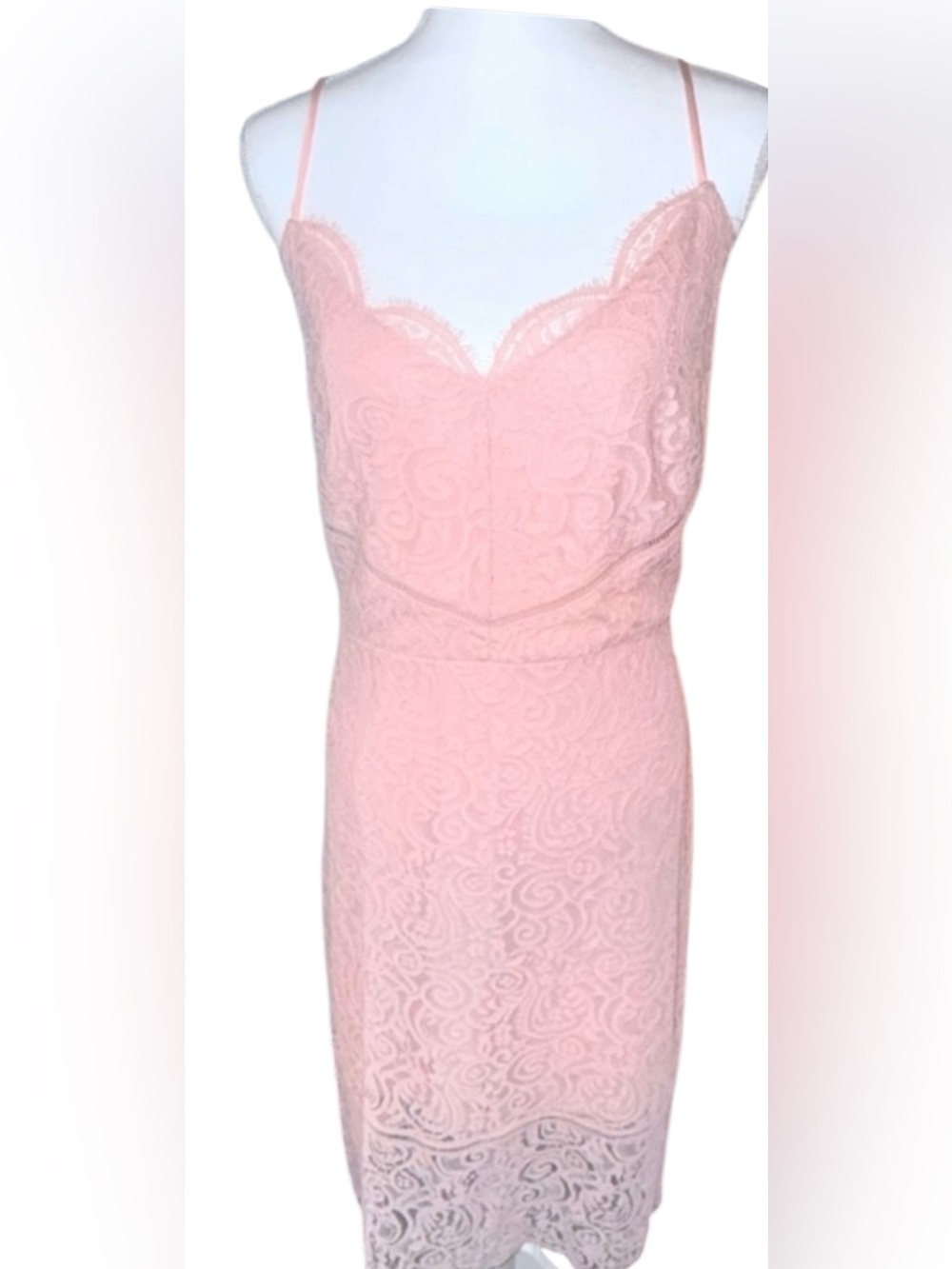 Express Blush Lace Midi Dress